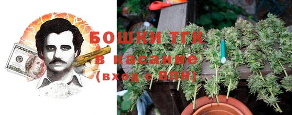 прущие грибы Армянск