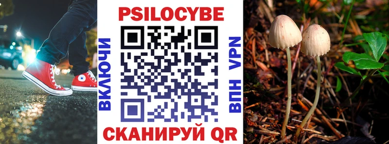 Псилоцибиновые грибы GOLDEN TEACHER  Петухово 